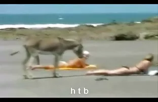 XXX شیرینی های حسی از ویبراتور کمی لذت می تصاویر سکسی دختران عرب برد