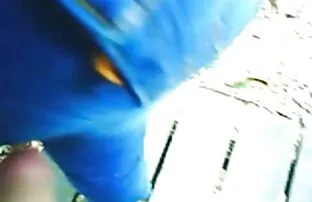 XXX Kveta تصاویر سکسی دختران کم سن